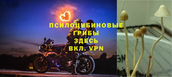 a pvp Баксан