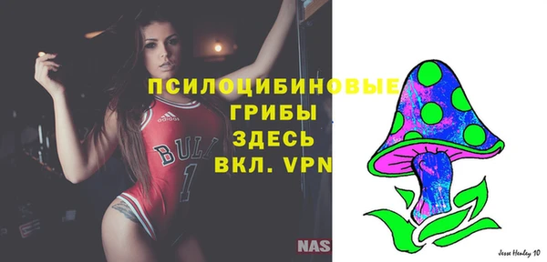 ГАЛЛЮЦИНОГЕННЫЕ ГРИБЫ Балабаново