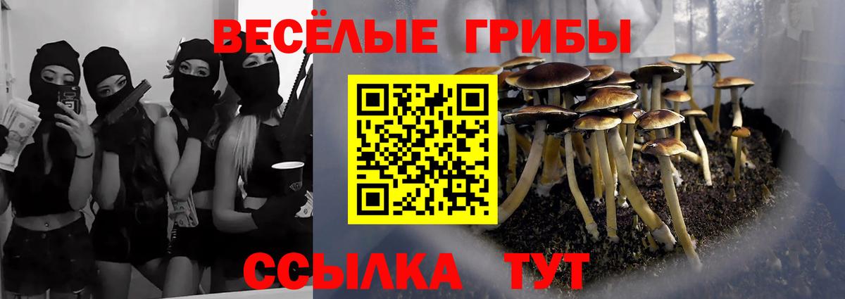 Псилоцибиновые грибы мицелий Радужный